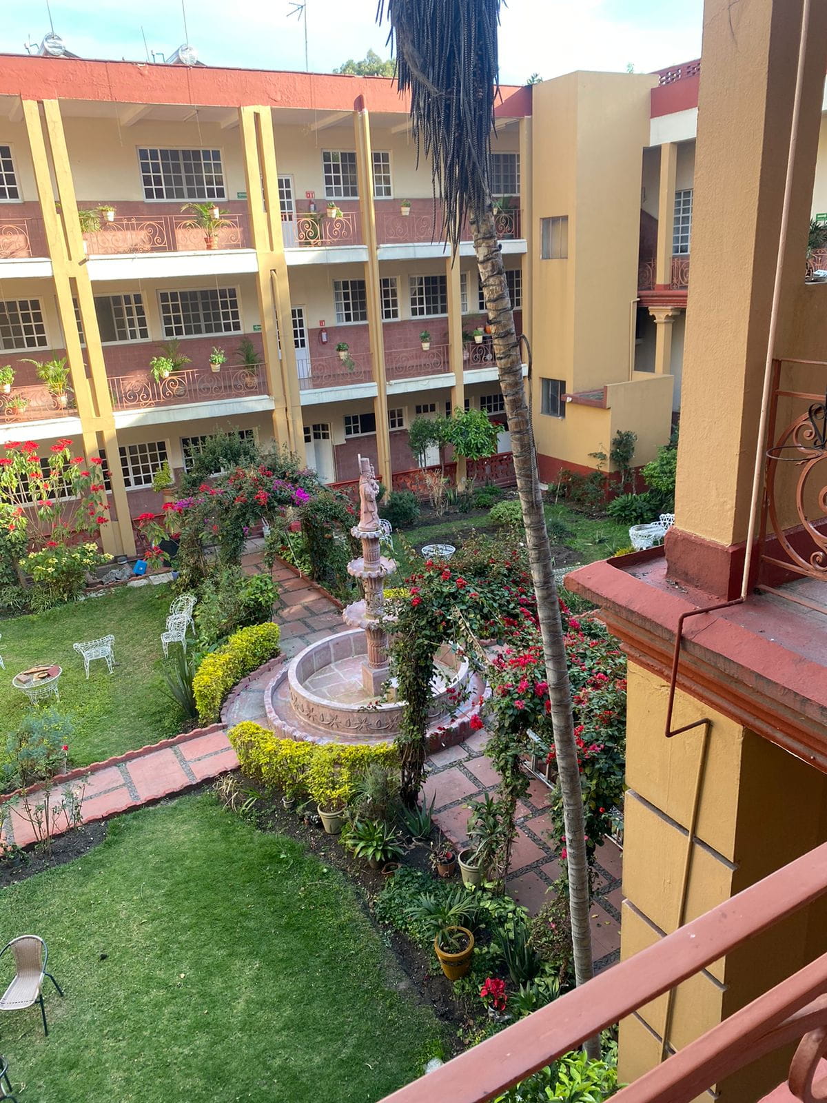 Imagen del asilo primavera